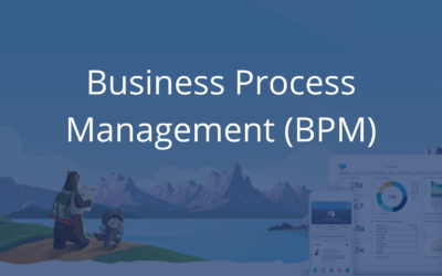 Business Process Management (BPM) – bärenstark Prozesse managen